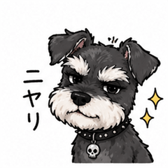 Bad Boy Schnauzer