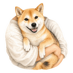 Sweet Shiba Girl Moments