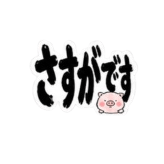 Too Much Text Pig