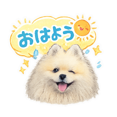NOAH_20260429224530