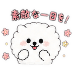 mimin_20260429223303