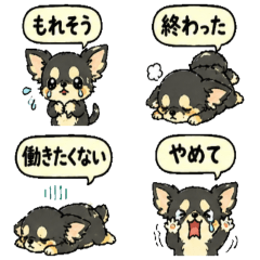 Chaos Chihuahua Reaction Stickers