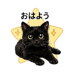 wataame_20260429231609
