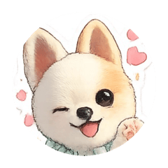Pomeranian koh_20260429225340