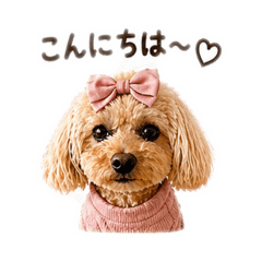 Momo_20260429231208