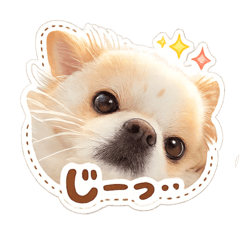 SUZUSON.C_20260429231723