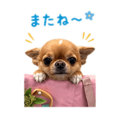 omuchan_20260429231741