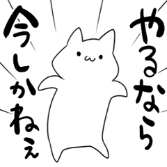 tyottotuyokinaneko