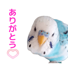 nanami_20260429232007