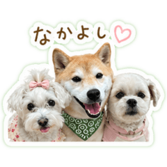 Moti_20260429232239