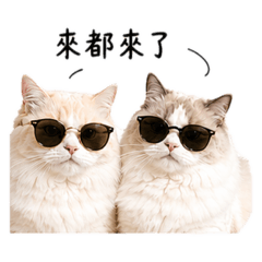 星與里歐厭世篇.