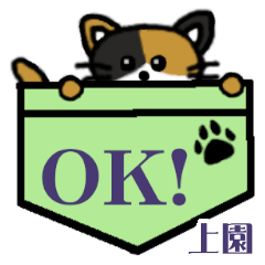 Uesono's Pocket Cat's