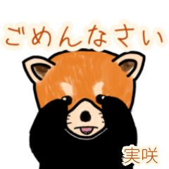 Misaki's lesser panda (2)