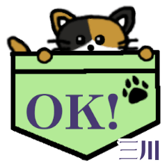 Mikawa's Pocket Cat's  [32]