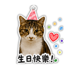 腸腸生日快樂