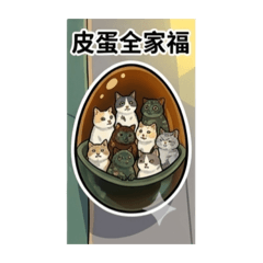皮蛋C