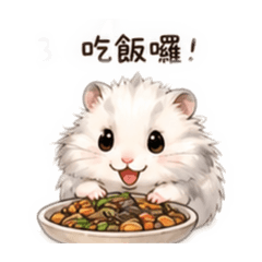 啵比的日常！黃金鼠乖乖