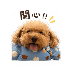 咪姐的自言自語