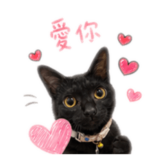 幽幽日常用語篇