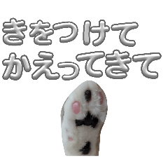 riku&joe_20260429195051