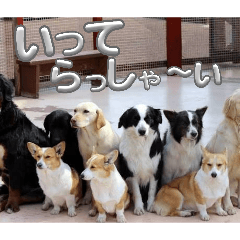 kisi_20260430000506