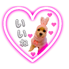 riri__3