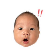 Jasper version 1