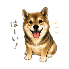 Aika_20260429195853