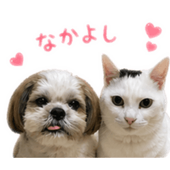 kuro_20260429195229