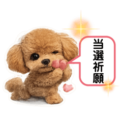 ri-tan_20260429200235