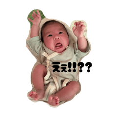 momo_20260430000723