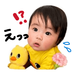 mamipoko_20260430000922