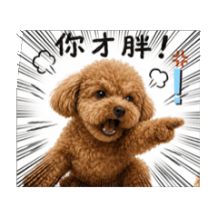 叮叮與楊翊鉉