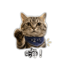 瑞巧日常用語