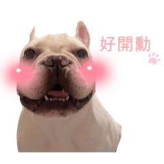 Lumi嚕咪
