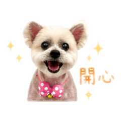 阿球宝
