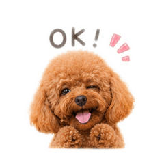 紅貴賓可樂（日常+上班厭世）