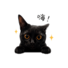 _Momooooo