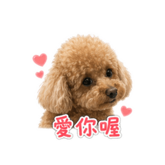 QQ可愛版貼圖