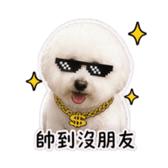 巧維尼2