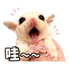 小蜜日常語