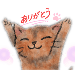poncat_030