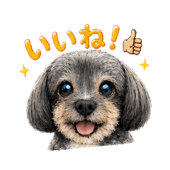 ruirui_20260430013852