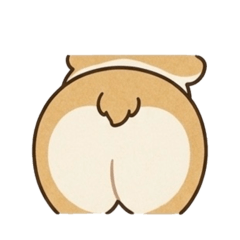 Japan Corgi Dogs