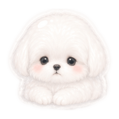 suzume_20260430015958