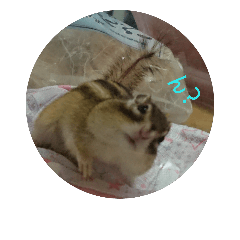 I like a small animal very much.