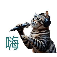聽喵星人唱歌