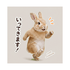 Soft & Gentle Bunny Daily Life