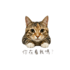 花生說嗨