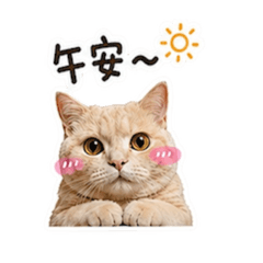 肚仔的日常（二）